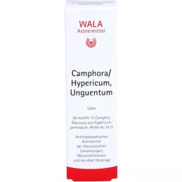 CAMPHORA/HYPERICUM Unguentum, 30 gr
