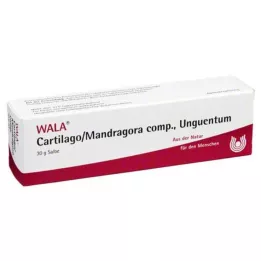 CARTILAGO/Mandragora comp Unguentum, 30 gr