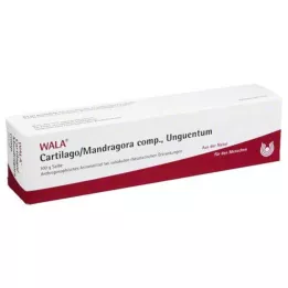 CARTILAGO/Mandragora comp Unguentum, 100 gr