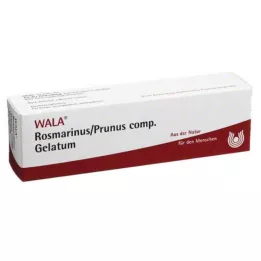 ROSMARINUS/PRUNUS komp. Jel, 30 g