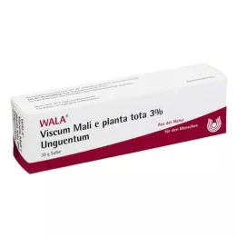 VISCUM MALI Toplam bitki %3lük Merhem, 30 gr