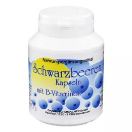 SCHWARZBEEREN Kapsüller, 100 adet