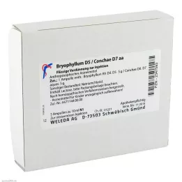 BRYOPHYLLUM D 5/Konka D 7 ampul, 5X10 ml