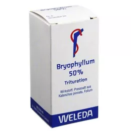 BRYOPHYLLUM %50 oral kullanım tozu, 20 g