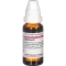 BAPTISIA D 2 Seyreltme, 20 ml