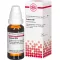 CONIUM D 10 seyreltme, 20 ml