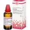 LEDUM EXTERN Tentür, 50 ml