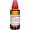 LEDUM EXTERN Tentür, 50 ml