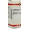 MYRTILLOCACTUS D 4 seyreltme, 20 ml