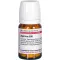 AGARICUS D 30 tablet, 80 adet