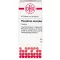 PHOSPHORUS AMORPHUS D 8 tablet, 80 adet