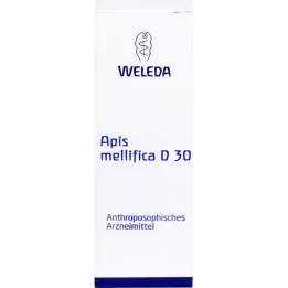 APIS MELLIFICA D 30 Seyreltme, 20 ml