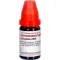GRAPHITES LM VI Seyreltme, 10 ml