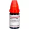 HYPERICUM LM VI Seyreltme, 10 ml