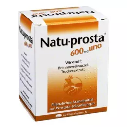 NATUPROSTA 600 mg uno film kaplı tablet, 60 adet