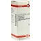 HAMAMELIS D 2 Seyreltme, 50 ml