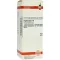 HYPERICUM D 6 Seyreltme, 50 ml