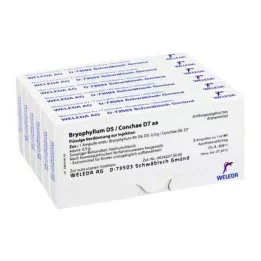BRYOPHYLLUM D 5/Konka D 7 ampul, 48X1 ml