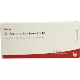 CARTILAGO articularis coxae GL D 6 ampul, 10X1 ml