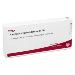 CARTILAGO articularis cinsi GL D 6 ampul, 10X1 ml