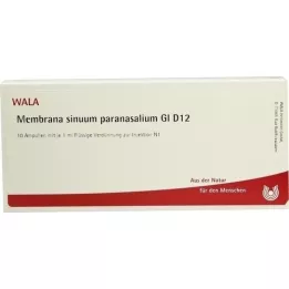 MEMBRANA sinuum paransalium GL D 12 ampul, 10X1 ml