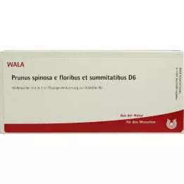 PRUNUS SPINOSA E floribus ve zirve D 6 Amp., 10X1 ml