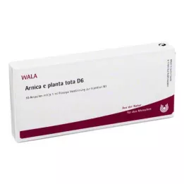ARNICA E Planta toplam D 6 ampul, 10X1 ml