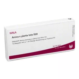 ARNICA E Planta toplam D 20 ampul, 10X1 ml