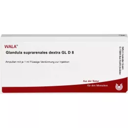 GLANDULA SUPRARENALES dekstra GL D 8 ampul, 10X1 ml