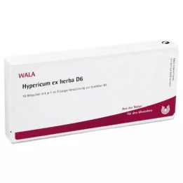 HYPERICUM EX Herba D 6 ampul, 10X1 ml