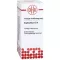 EUPHORBIUM D 4 seyreltme, 50 ml