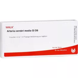 ARTERIA CEREBRI medya GL D 6 ampul, 10X1 ml