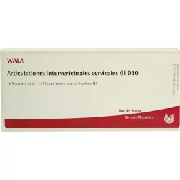 ARTICULATIONES omurlar arası.cerv.GL D 30 Amp., 10X1 ml