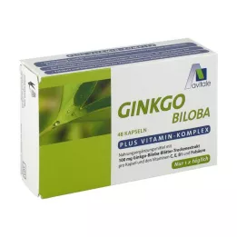 GINKGO 100 mg kapsüller+B1+C+E, 48 adet