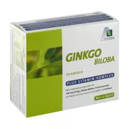 GINKGO 100 mg kapsüller+B1+C+E, 192 adet