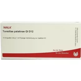 TONSILLAE palatinae GL D 12 ampul, 10X1 ml
