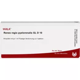 RENES REGIO pyelorenalis GL D 10 ampul, 10X1 ml