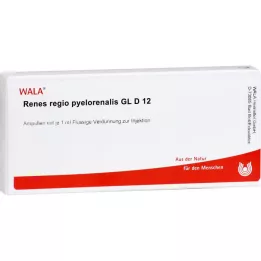 RENES REGIO pyelorenalis GL D 12 ampul, 10X1 ml