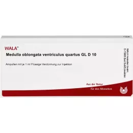 MEDULLA OBLONGATA Ventrikül quartus GL D 10 Amp., 10X1 ml