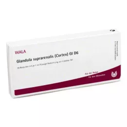 GLANDULA SUPRARENALES korteks GL D 6 ampul, 10X1 ml