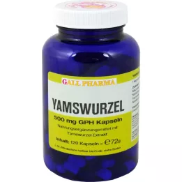 YAMSWURZEL 500 mg GPH kapsül, 120 adet