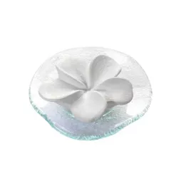 DUFTSTEIN Frangipani cam plaka şeffaf, 1 adet
