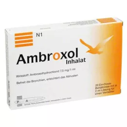 AMBROXOL Nebulizatör için inhalasyon solüsyonu, 20X2 ml