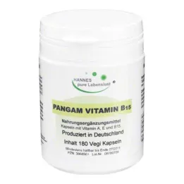 PANGAM Vitamin B15 Vegi Kapsül, 180 adet