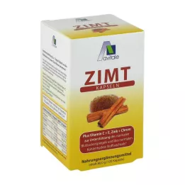 ZIMT KAPSELN 500 mg+Vitamin C+E, 120 adet
