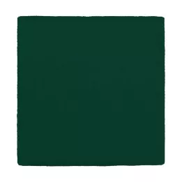 MULLKOMPRESSEN 10x10 cm 12 katlı yeşil, 100 adet