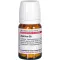 AGARICUS D 8 tablet, 80 adet