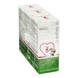 FS 53 Dr.Siegerth H sıvı, 3X100 ml