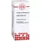 COLOCYNTHIS D 8 Seyreltme, 20 ml