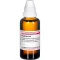 GRAPHITES D 10 seyreltme, 50 ml